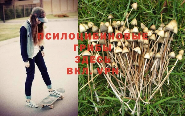 эйфоретик Козельск
