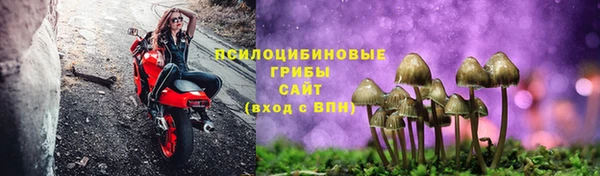 2c-b Козловка